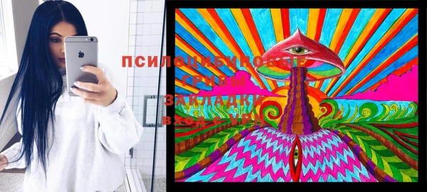 герыч Горнозаводск