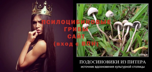 альфа пвп Гусь-Хрустальный