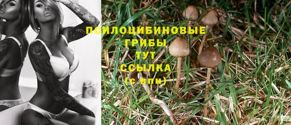 герыч Горнозаводск